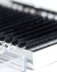 Detail view of Royal eyelash extension strips displaying L curl pattern ideal for straight lashes and hooded eyes