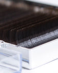 Detail view of brown eyelash extension strips displaying soft color for natural beauty and seamless regrowth