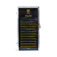 Elite 5D premade eyelash extension fans 12-line tray by Lovely US for volume lash application